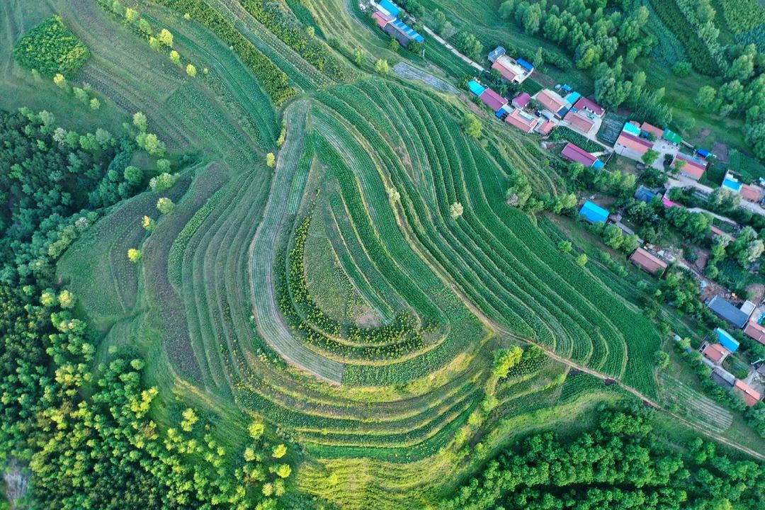 生態(tài)系統(tǒng)健康和管理——加強(qiáng)生態(tài)技術(shù)和工程管理，促進(jìn)生態(tài)系統(tǒng)健康發(fā)展